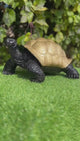 Statue Tortue - 65cm - Doré